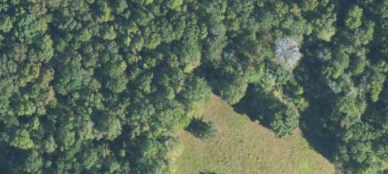 6443 Hwy 11