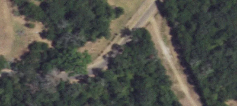 Leamon Ln