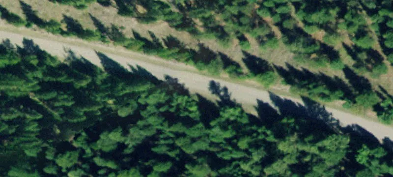 Nhn Pinkham Crk Rd