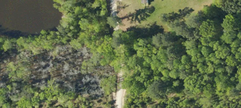 00 Campbell Rd