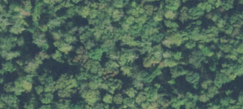Tn-100