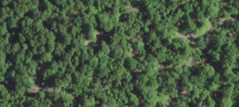 69 Acres Off Hillside Rd