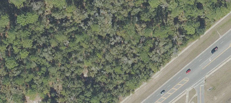 State Road 19