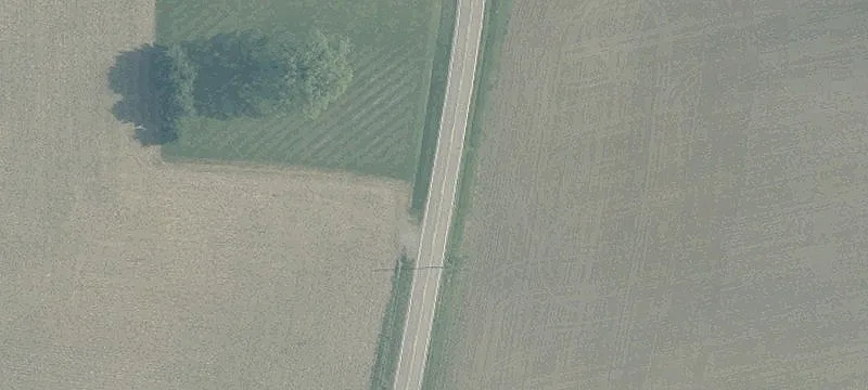White Oak Rd