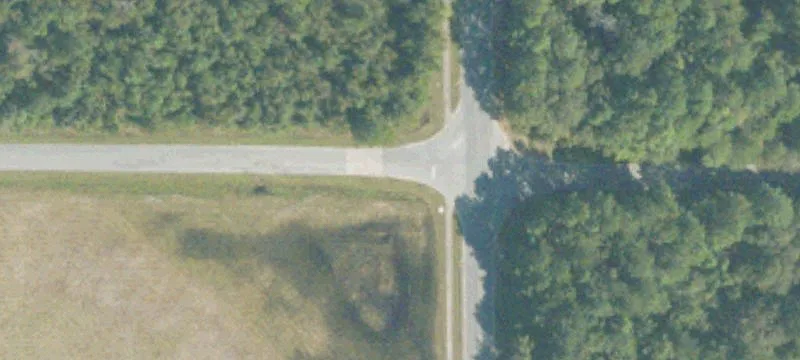 Yellow Jacket Dr