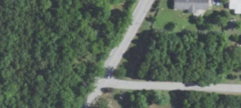 Bee Creek Rd