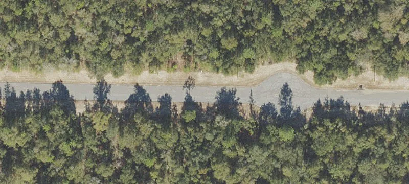 Technology Ave