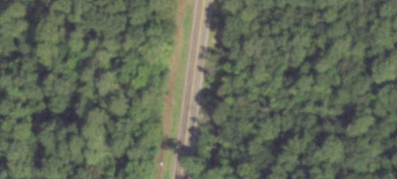 Tx-61