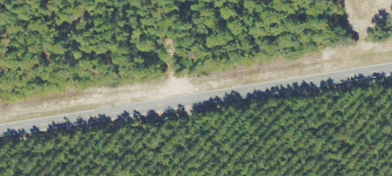 Harris Neck Rd