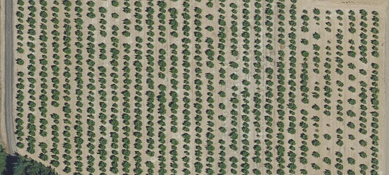 510439 1300