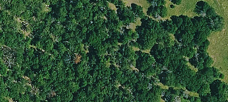 2406 Lariat Rd
