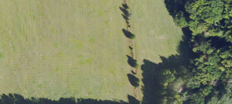 80 Acres In Tippah County