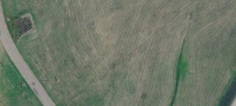 Blue Spruce Dr