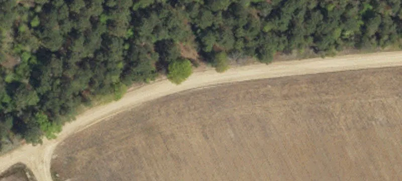 Dalcho Rd