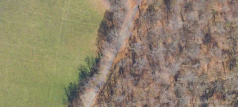 Clinch Mountain Rd