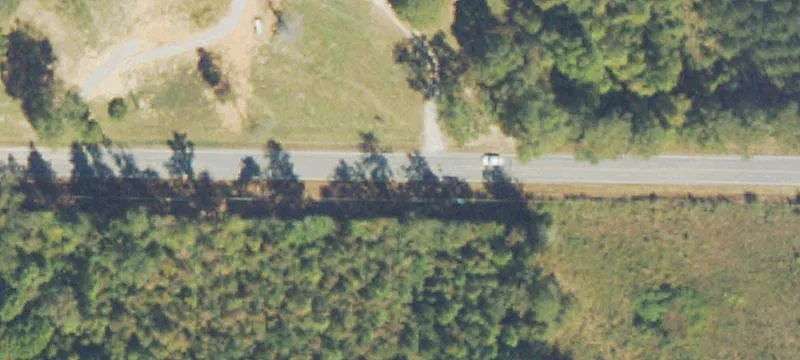 Birdie Rd
