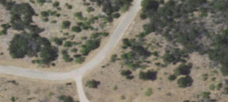 Bluff Creek Dr