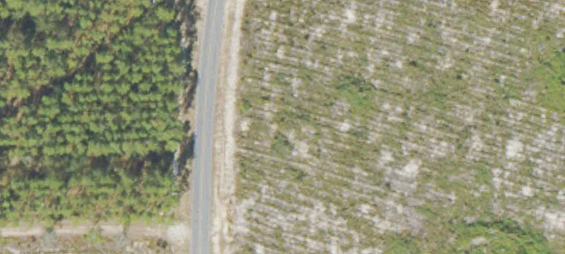 Saddle Club Rd