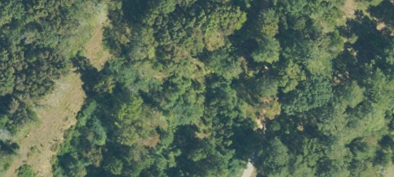 310 Co Rd
