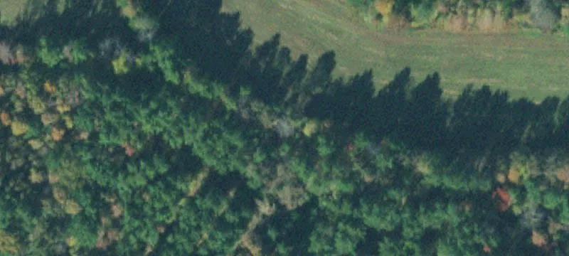 000 Stewart Cementery Ln