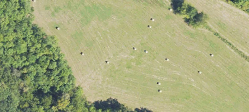 60.1 Acres In Kemper County