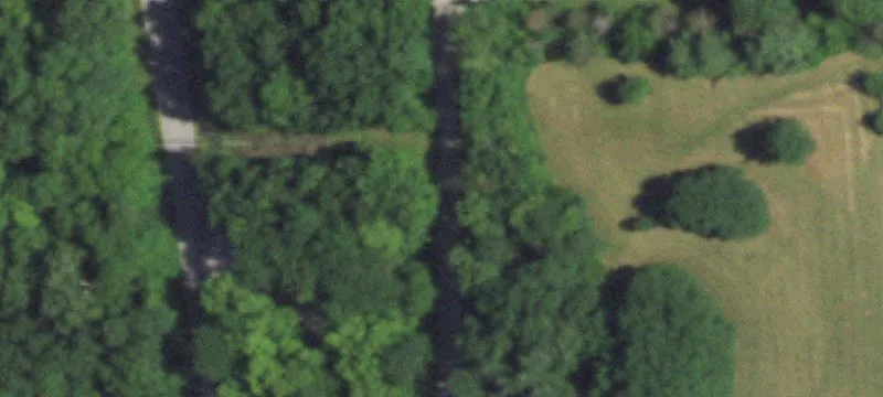 Lester Ln