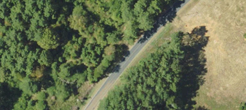 920 Auburn Dr