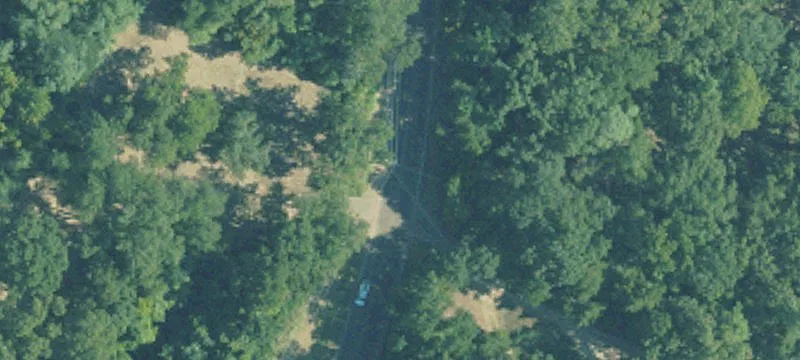 Government Fleet Rd