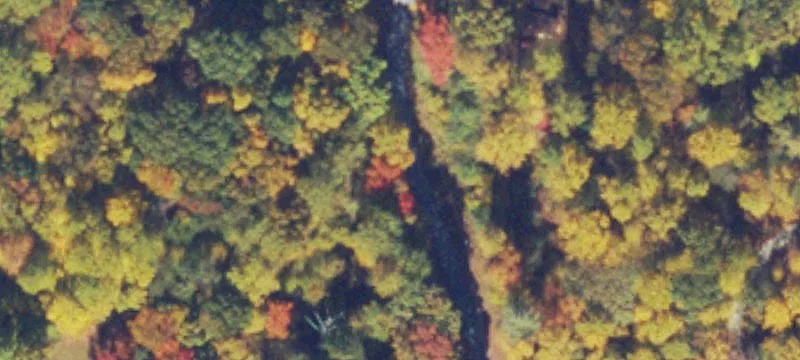Shangri-La Rd