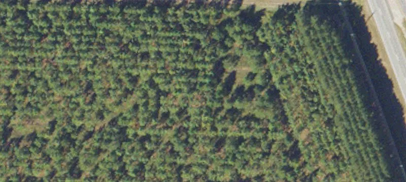 7321 20 Acres
