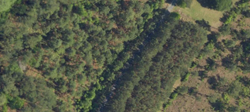 Weehaw Plantation Dr