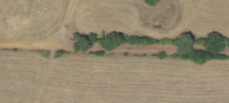 An County Road 443