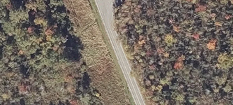 Williams Rd