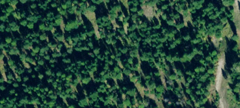 250 Haskill Rnch Rd