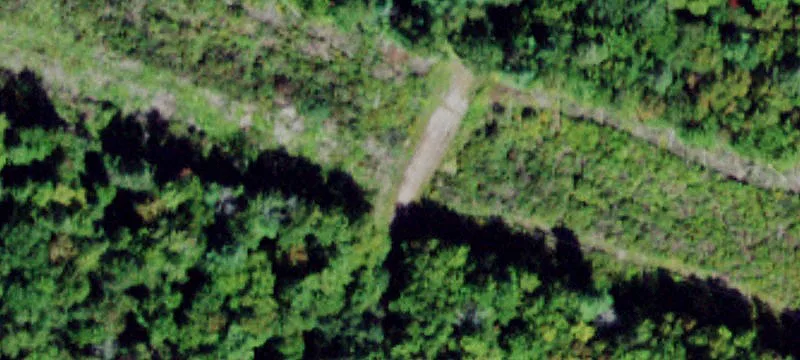 Mitchell Rd
