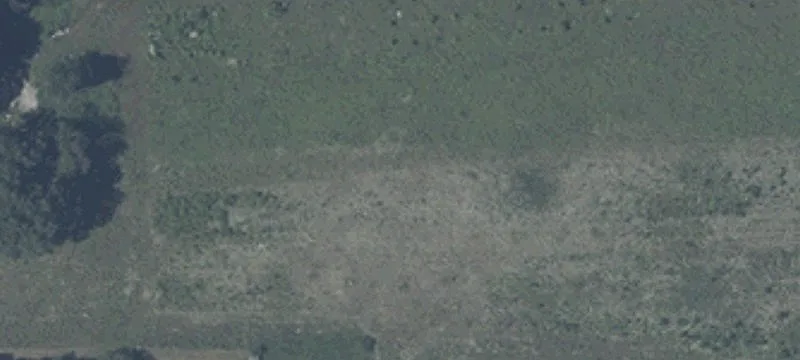 590