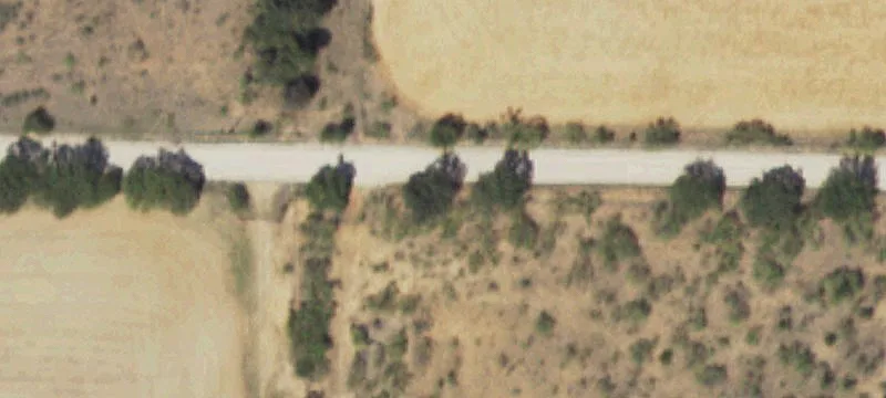 419 Co Rd
