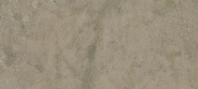 00000