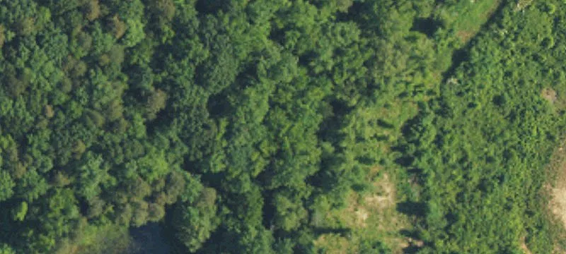 Designed Bar!! Turn Ky Bar For Sale In Growing Gastonia- Wl