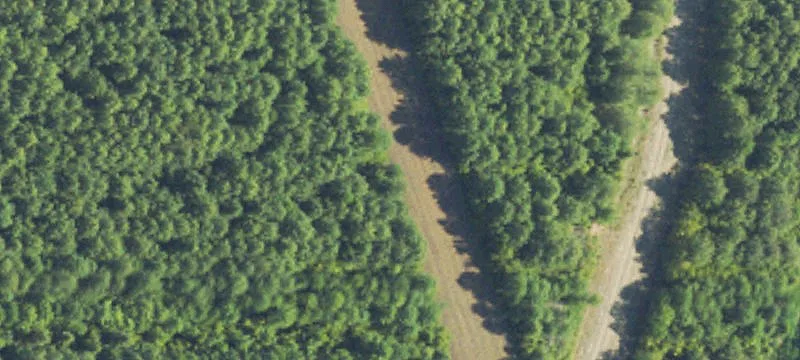 600 Acres