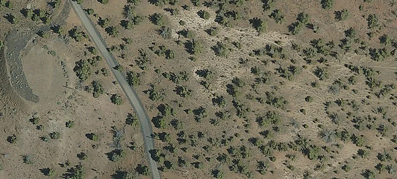 Jasper Knolls Dr