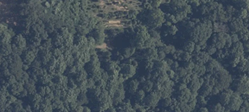 39+/- Acres Timber With Buildable Potential