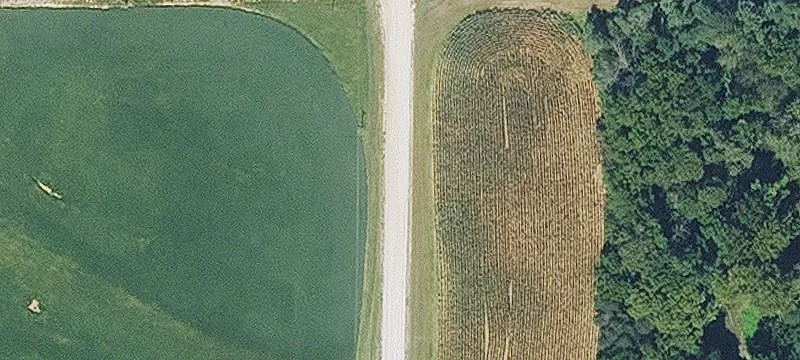 40.2 Ac Mineral Pt Rd