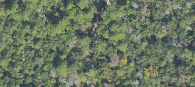 Drizzle Bluff Rd