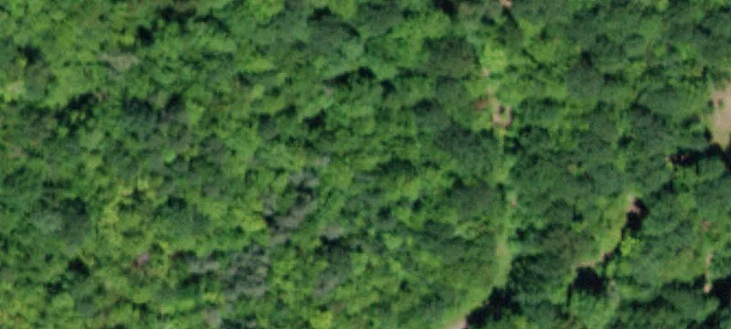 Coyote Dr