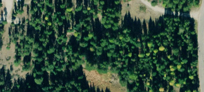 748 Lodgepole Dr