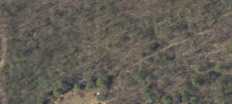 Knob Ridge Rd
