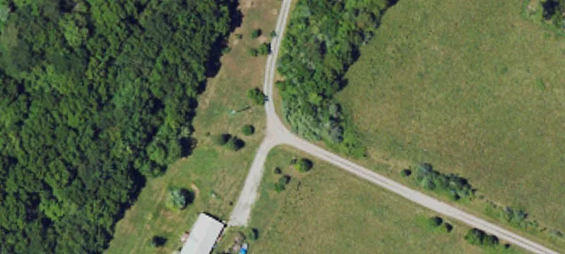 123 Blueberry Ln