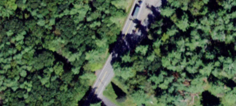 55 Steges Rd & Rte