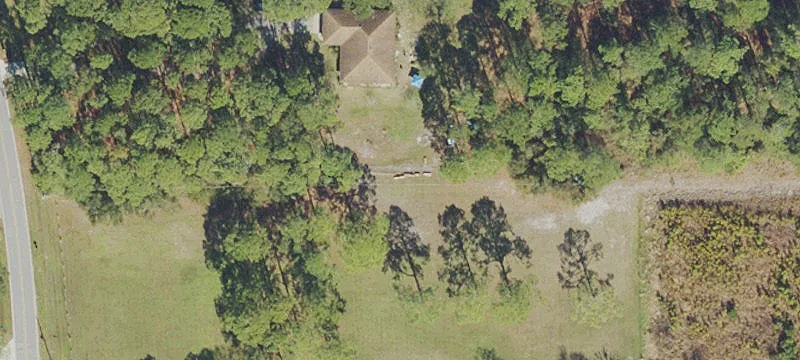 1981 Hontoon Rd